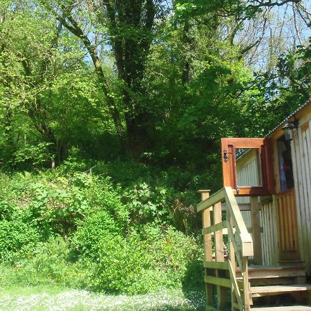 'Morris' The Shepherd'S Hut With Woodland Hot Tub Carmarthen Buitenkant foto