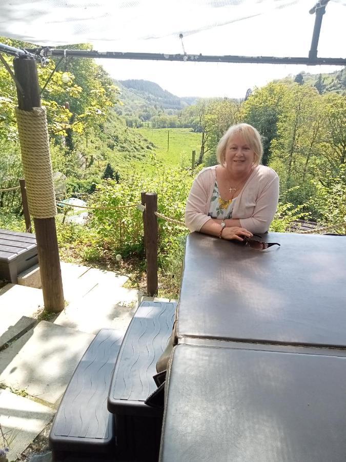 'Morris' The Shepherd'S Hut With Woodland Hot Tub Carmarthen Buitenkant foto