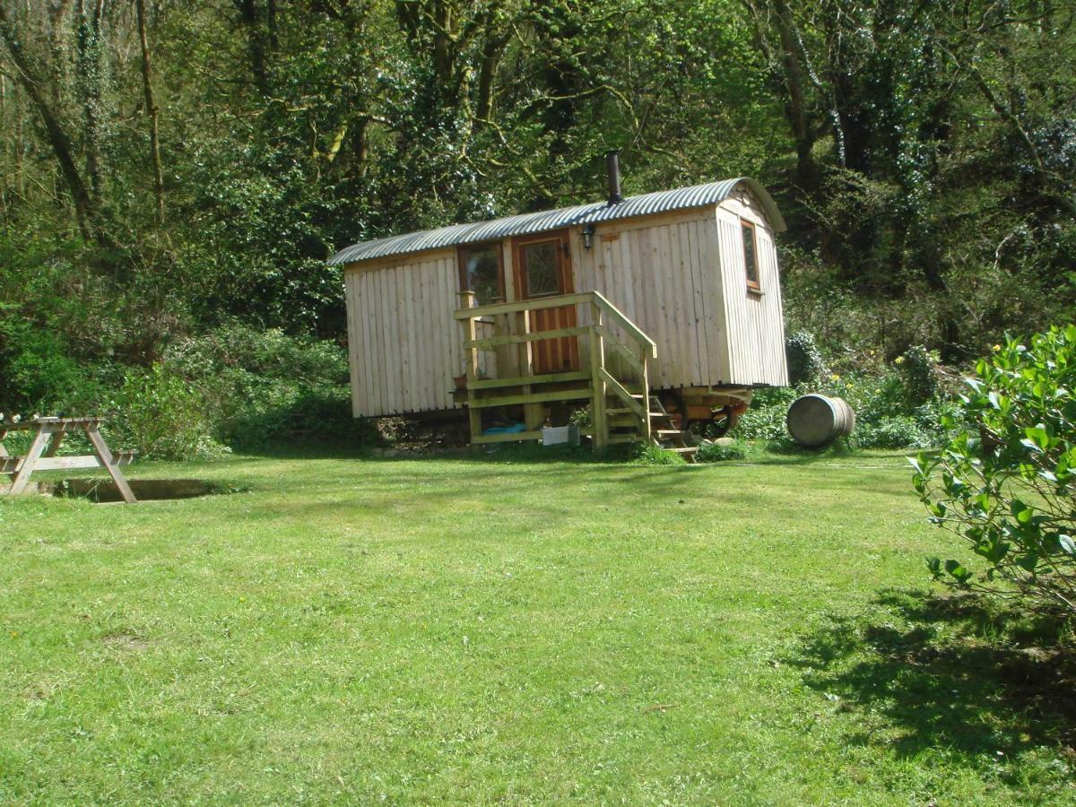 'Morris' The Shepherd'S Hut With Woodland Hot Tub Carmarthen Buitenkant foto