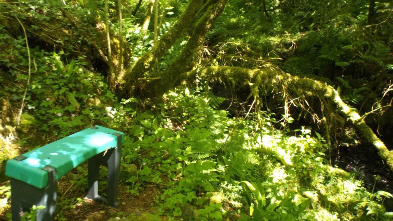 'Morris' The Shepherd'S Hut With Woodland Hot Tub Carmarthen Buitenkant foto