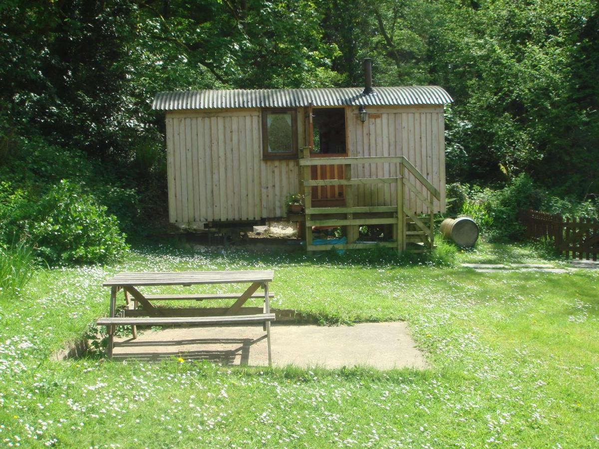 'Morris' The Shepherd'S Hut With Woodland Hot Tub Carmarthen Buitenkant foto