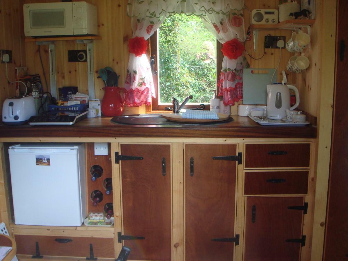 'Morris' The Shepherd'S Hut With Woodland Hot Tub Carmarthen Buitenkant foto