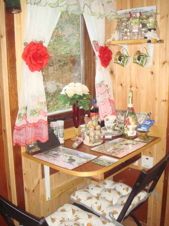 'Morris' The Shepherd'S Hut With Woodland Hot Tub Carmarthen Buitenkant foto