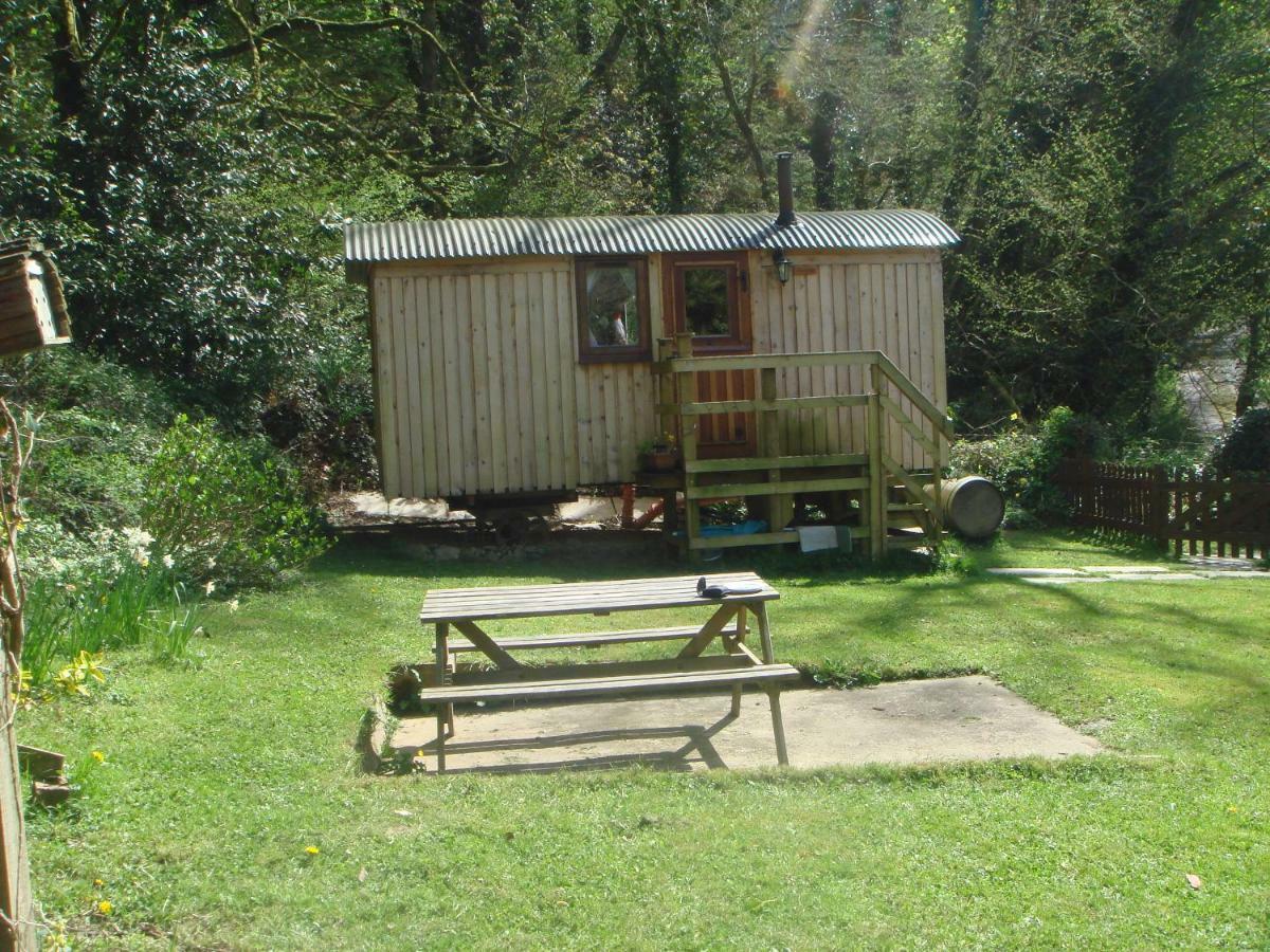 'Morris' The Shepherd'S Hut With Woodland Hot Tub Carmarthen Buitenkant foto