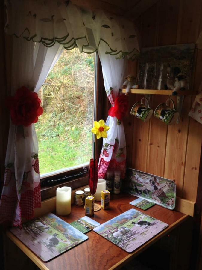 'Morris' The Shepherd'S Hut With Woodland Hot Tub Carmarthen Buitenkant foto