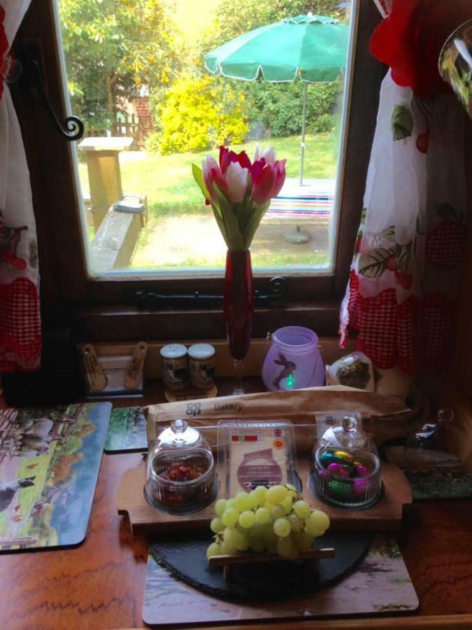 'Morris' The Shepherd'S Hut With Woodland Hot Tub Carmarthen Buitenkant foto