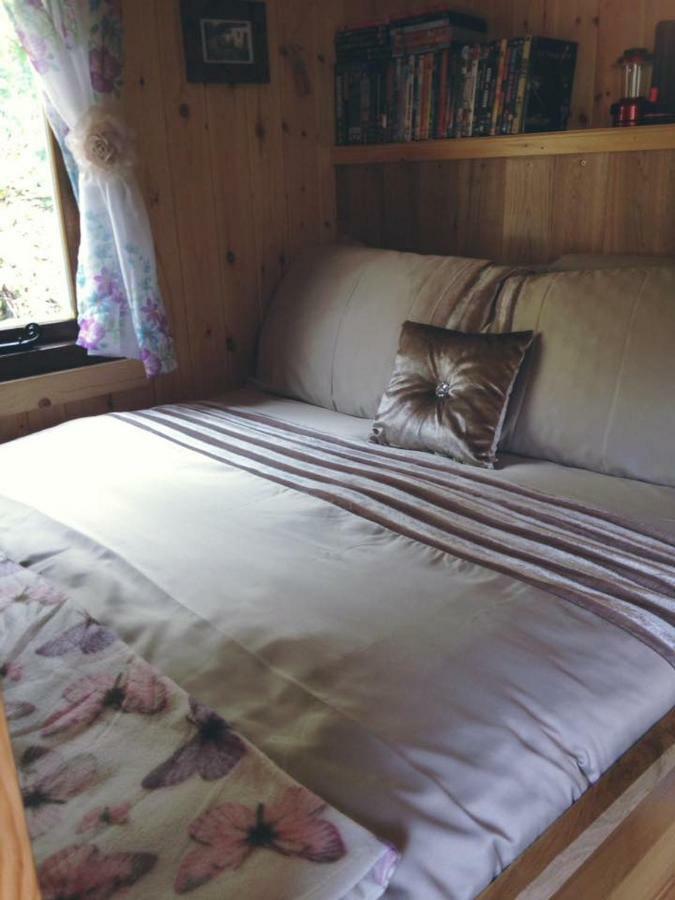 'Morris' The Shepherd'S Hut With Woodland Hot Tub Carmarthen Buitenkant foto