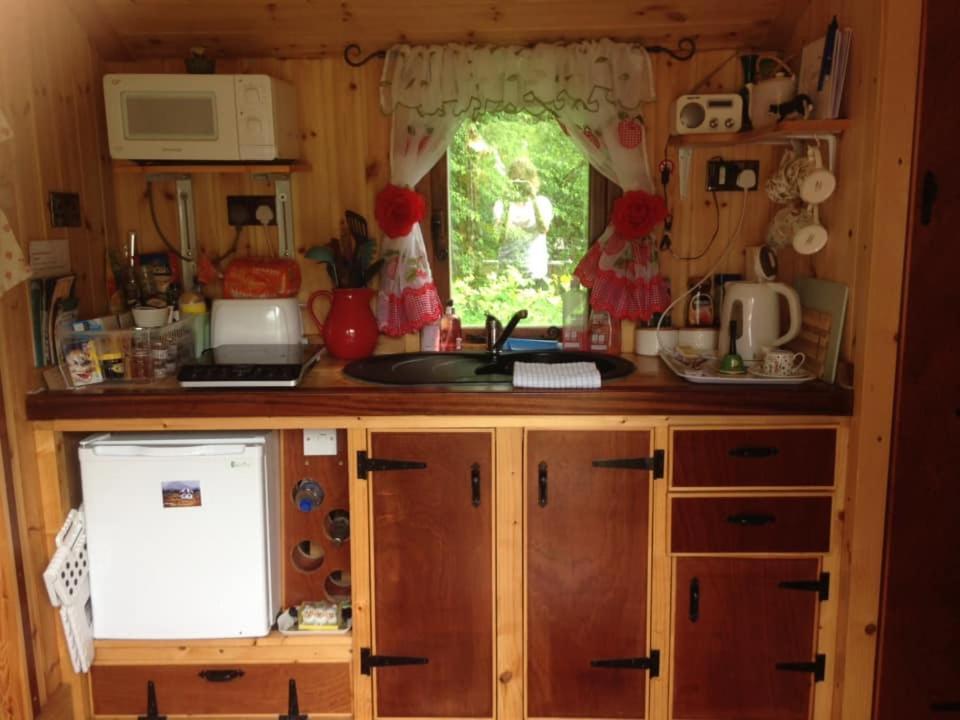 'Morris' The Shepherd'S Hut With Woodland Hot Tub Carmarthen Buitenkant foto