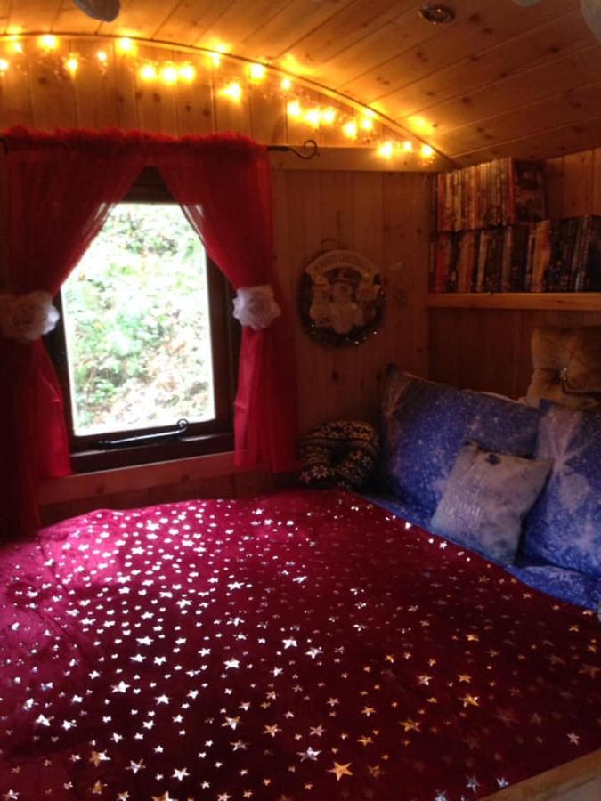 'Morris' The Shepherd'S Hut With Woodland Hot Tub Carmarthen Buitenkant foto