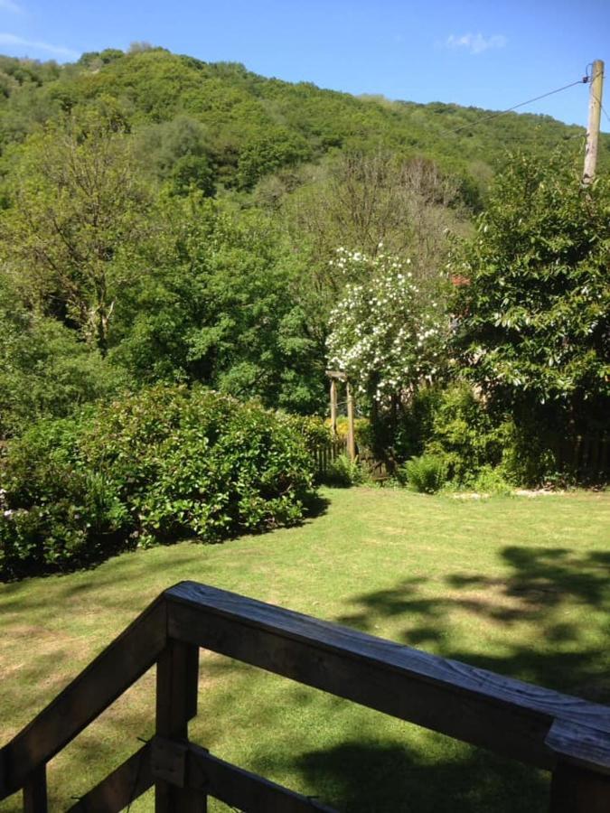 'Morris' The Shepherd'S Hut With Woodland Hot Tub Carmarthen Buitenkant foto