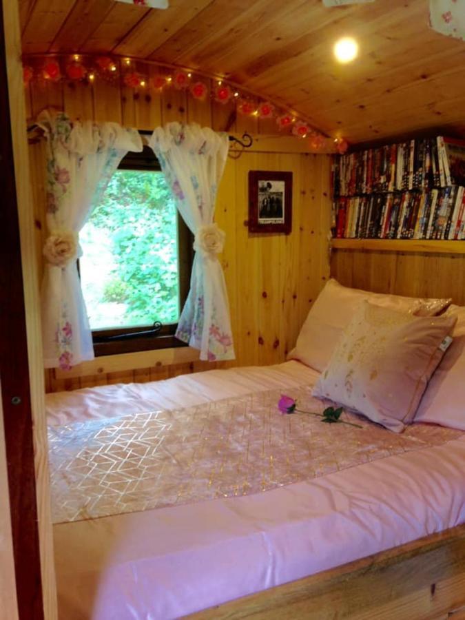 'Morris' The Shepherd'S Hut With Woodland Hot Tub Carmarthen Buitenkant foto