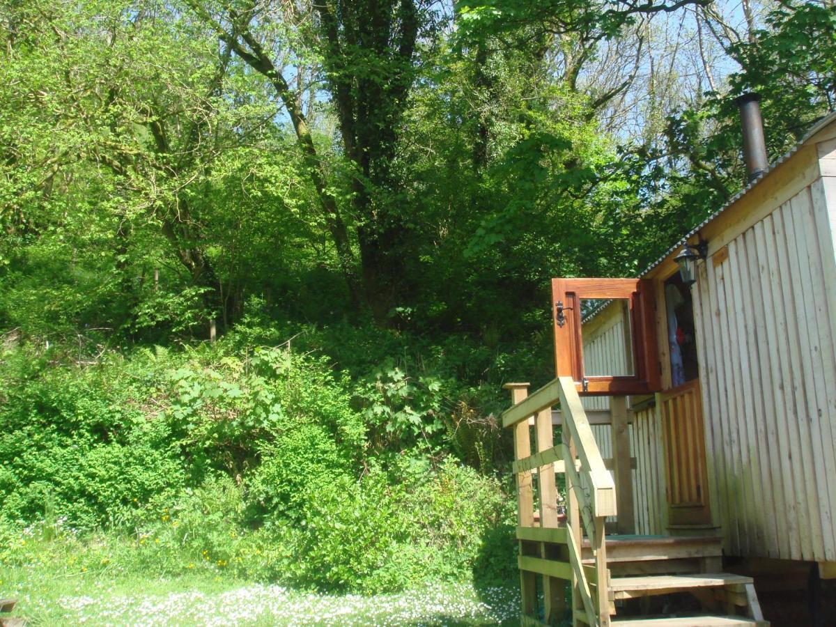 'Morris' The Shepherd'S Hut With Woodland Hot Tub Carmarthen Buitenkant foto